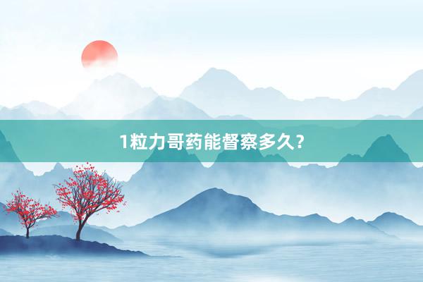 1粒力哥药能督察多久？